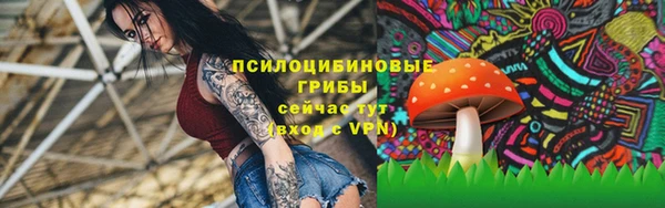 стафф Бронницы